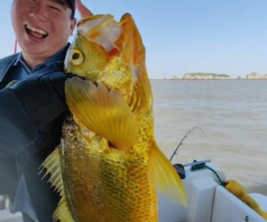 Fisherman Lands Amazing GBP 3,000 Fish