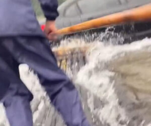  Bizarre Accident As Bamboo Raft Collides With Speeding Car