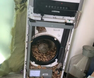 Chilled-Out Rodents Use Air-Conditioning Unit To Store Snacks