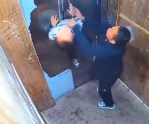 Bizarre Moment Little Boy Trying To Lead Goat Into Elevator Lifted Into The Air When Doors Close