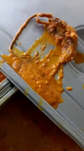Read more about the article Dead Rodent Found In Curry At Medical College Canteen