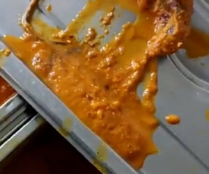 Dead Rodent Found In Curry At Medical College Canteen