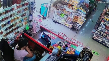 Read more about the article Macaque Robbed Supermarket Three Times In Two Hours