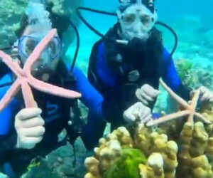 Three Face Jail For Touching Protected Reef