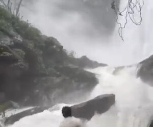 Man Slips Into Raging Waterfall While Posing For Instagram Video