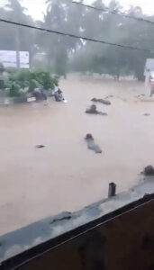 Read more about the article Moment Buffalo And Man With Car Are Washed Away In Raging Monsoon Floodwaters