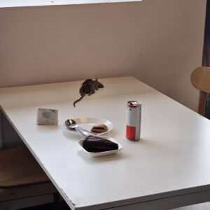 Read more about the article Dead Rat Lands Inches From Diner’s Pastry At IKEA Restaurant