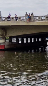 Read more about the article  Father Kicks Young Son Off Tall Bridge As The Boy Hesitates About The Dive