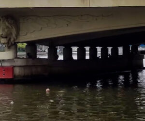  Father Kicks Young Son Off Tall Bridge As The Boy Hesitates About The Dive