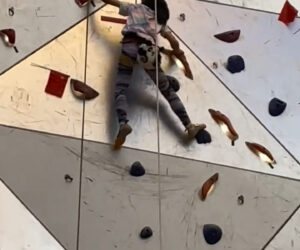  Little Girl Conquers 180-Foot-Tall Climbing Wall