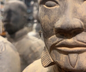 Hungry Mosquito Confuses Ancient Terracotta Sculpture With Actual Human