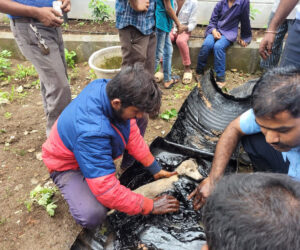 Sticky Situation As Pups Trapped In Tar-Filled Oil Drums