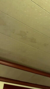 Read more about the article Homeowner Baffled After Dark Footprints Suddenly Appear On His Ceiling
