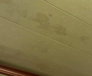 Homeowner Baffled After Dark Footprints Suddenly Appear On His Ceiling