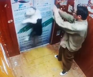 Owner Struggles To Free Dogs After Their Leash Gets Caught In Closing Lift Doors