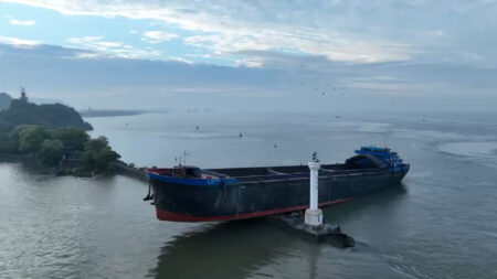 Read more about the article Large Cargo Ship Gets Stranded On Trestle