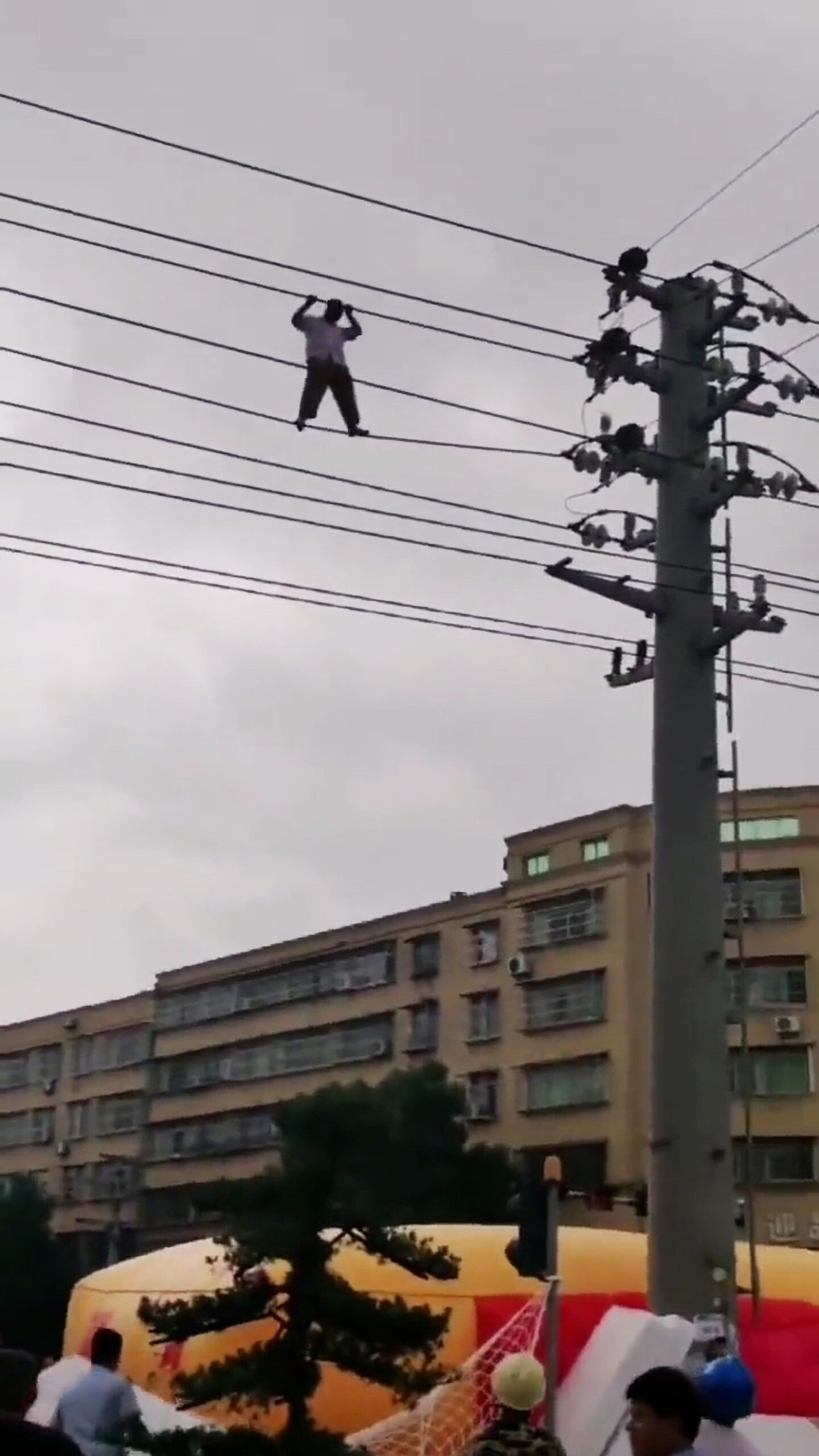  Biker Climbs Power Cable In Bid To Escape Fine For Not Wearing A Helmet