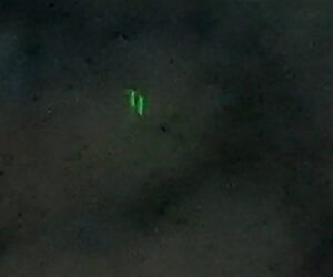 Mysterious Glowing Object Hovering In The Sky For Hours Sparks Alien Debates