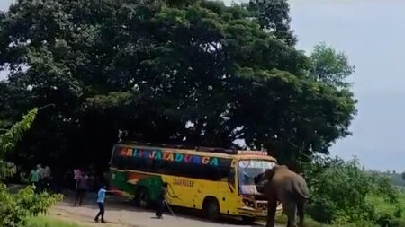 Read more about the article Moment Elephant Goes On Rampage In India And Attacks Bus Full Of Terrified Passengers
