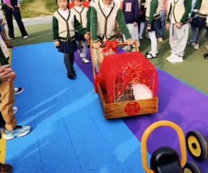 Preschool Hosts Wedding For Two Pet Rabbits To Teach Kids Animals Have Feelings Too