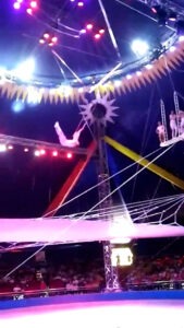 Read more about the article High-Flying Trapeze Artist’s Fury Over Sacking For Fall
