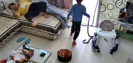Read more about the article Six-Year-Old Boy Drags Giant Snake Into Home And Scares Grandma