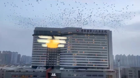 Read more about the article Hundreds Of Black Birds Hover Above A Hospital