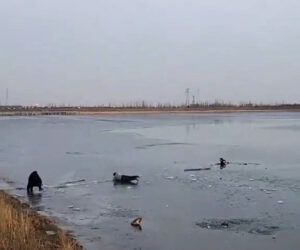 Firefighters And Volunteers Save Two Teen Boys From Frozen Lake