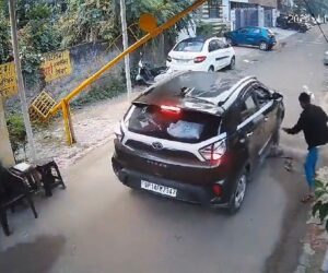 Moment Pet Is Fatally Crushed By Car While Owner Is Distracted By Phone
