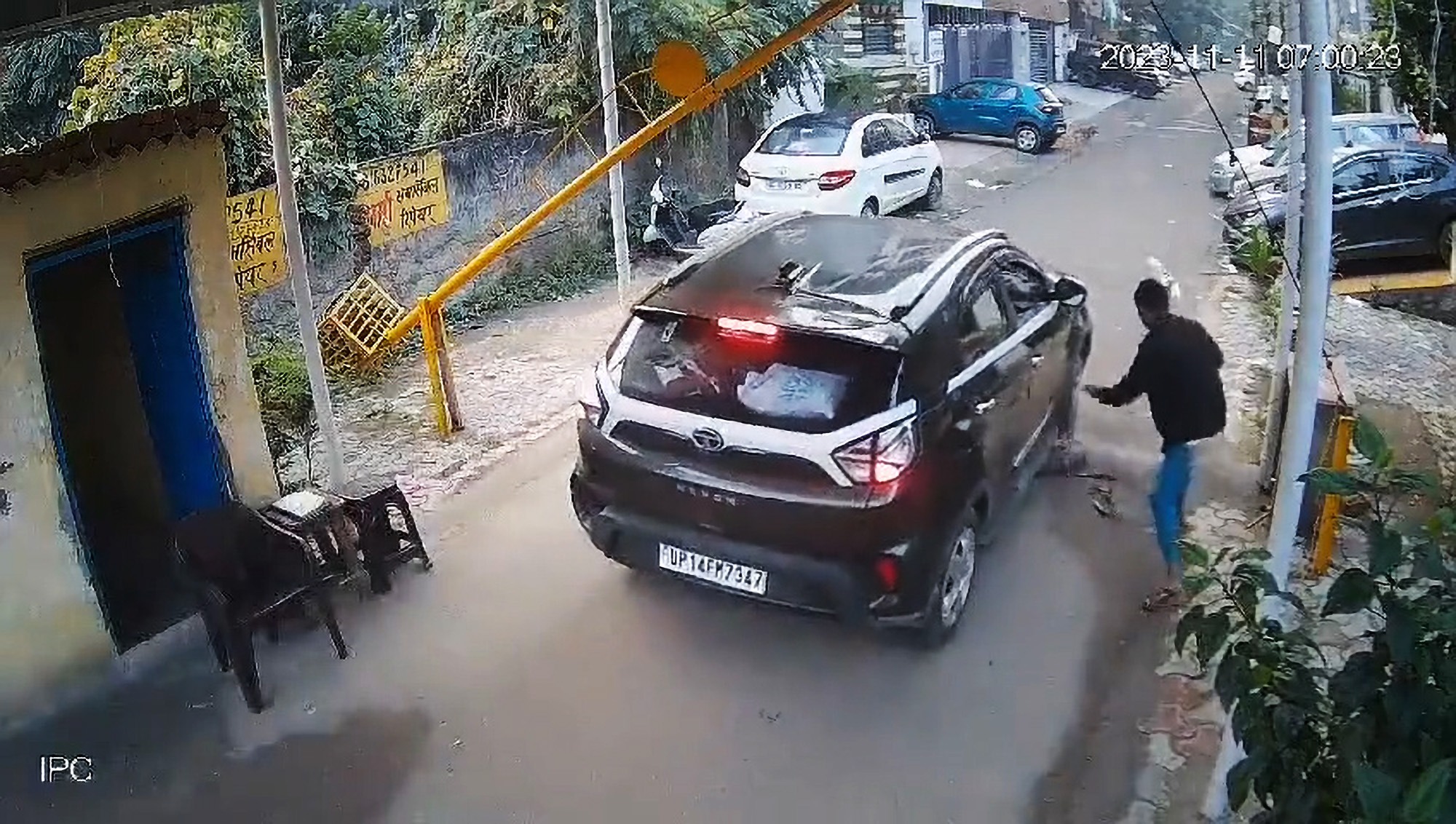 Moment Pet Is Fatally Crushed By Car While Owner Is Distracted By Phone