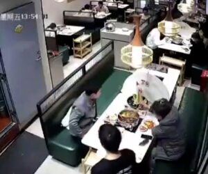  Two Rodents Fall On Hungry Diner’s Head Mid-Meal