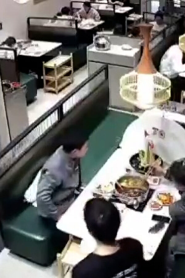  Two Rodents Fall On Hungry Diner’s Head Mid-Meal
