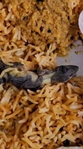 Read more about the article Family Finds Dead Lizard In Takeaway Curry