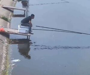 Moment Angler Is Pulled Into The Water By Feisty 20kg Fish